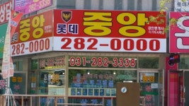 롯데중앙공인중개사사무소