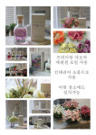 비엠에스코리아