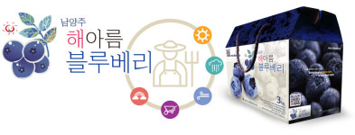 해아름블루베리