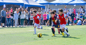 올림픽공원올팍축구장