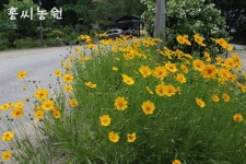 홍씨농원