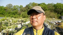 블루베리 삼마농원