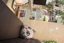 카페위