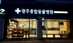 광주종합동물병원