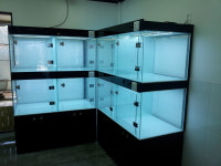 애견미용사장윤희