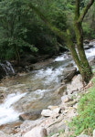 세월산장