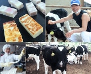 자연의꿈 엔띠끄치즈