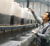 별고을 굼벵이농장