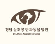 청담눈초롱안과동물병원