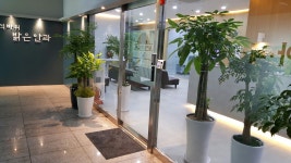 석바위밝은안과의원