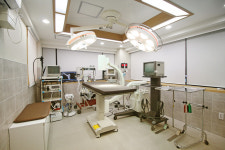 산들산들 동물병원