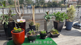 트윈파크공인중개사사무소