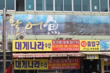 대게나라수산