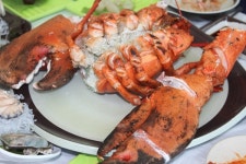 대게나라수산