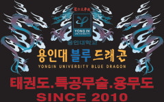 용인대 블루 드래곤 태권도