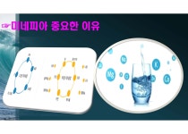 미네팜