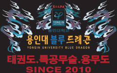 용인대 블루 드래곤 태권도