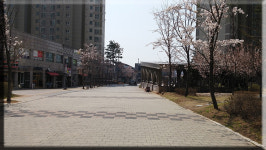 대한민국공인중개사사무소