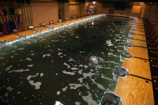 놀러와낚시카페 실내낚시터 인천점