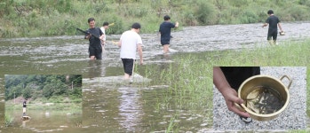 정선펜션1박2일