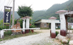 정선펜션1박2일