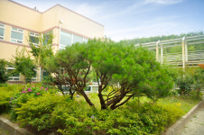 갈릴리마을