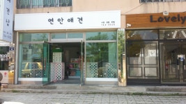 연안애견