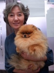송파원 동물병원