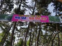 백일야영장