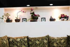 에이스항외과의원