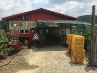 밤나무골블루베리