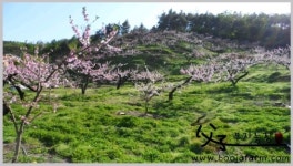 부자농장