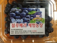 밤나무골블루베리