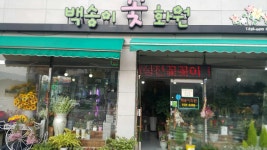 백송이화원