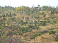 대영농원