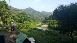 불갑산꿀벌농장