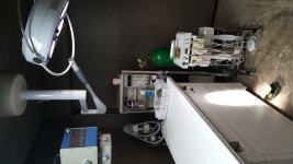 김기혁동물병원