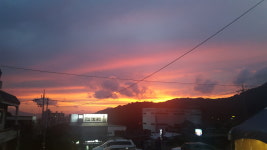 오픈하우스가든