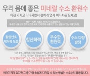 홀리수