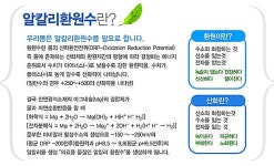홀리수