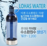 홀리수