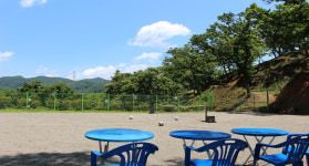 바울농장