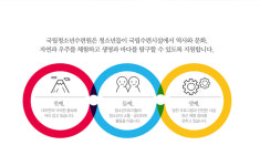 한국청소년활동진흥원