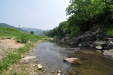 돌담집 민박