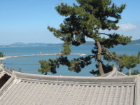 보성드림캠핑장