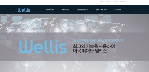 웰리스