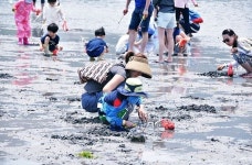 바람의핫도그 거제본점