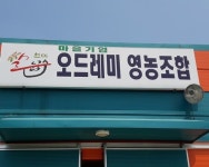 오드레미영농조합법인