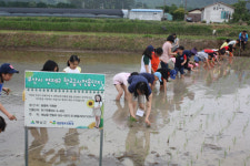 땅끝황토친환경영농조합법인