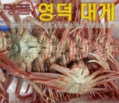 양덕수산